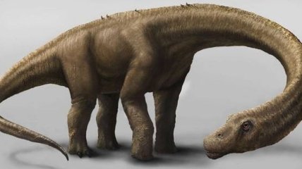 Воспроизведен облик самого крупного на Земле динозавра