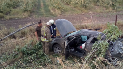 На Донбассе автомобиль врезался в дерево, двое людей погибли