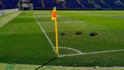 Кроты испортили газон на стадионе "Металлист" перед матчем Шахтера в Лиге чемпионов