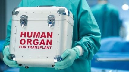 Запуск системы трансплантации в Украине могут отстрочить 