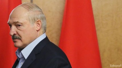 Лукашенко отправился сажать сосны в Чернобыльскую зону