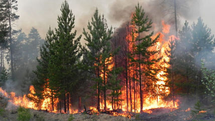 В Калифорнии пожар уничтожает все вокруг