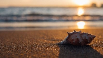 Власти Сардинии планируют сделать платным самый популярный пляж