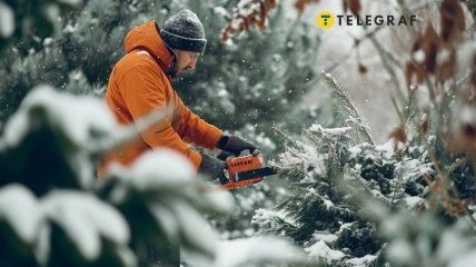 Перед тем, как приступать к обрезке деревьев, следует учитывать некоторые факторы (изображение создано с помощью ИИ)