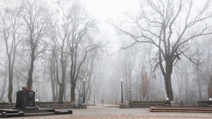 В ближайшие дни в Украине ожидается опасный туман 