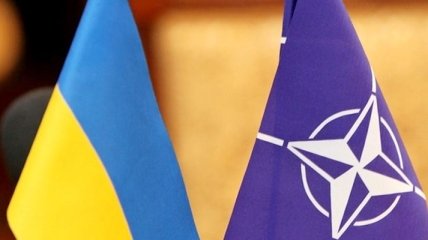 НАТО продолжит помогать в медицинской реабилитации украинских военных 