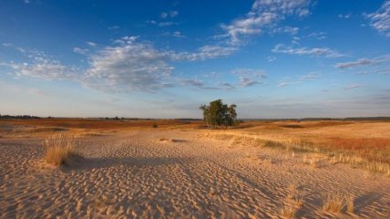 Кицевская пустыня