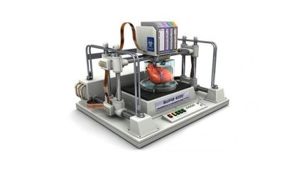 Ученые планируют напечатать сердце на 3D-принтере