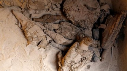 В египетском городе Сохаг нашли гробницу с мумиями мышей и птиц