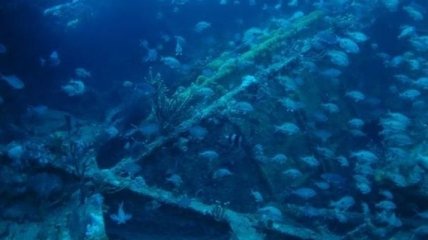 Ученые обнаружили затонувшее судно XIX века
