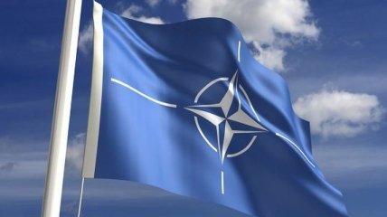 В НАТО разработали рекомендации по противодействию "кремлевским троллям"
