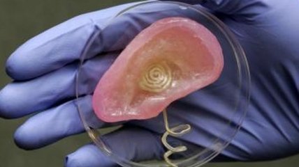 На 3D-принтере напечатали ухо с живыми клетками