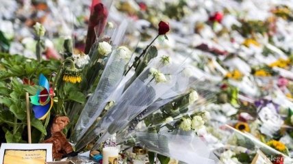 Эксперты 5 августа не нашли останков жертв крушения "Боинга"