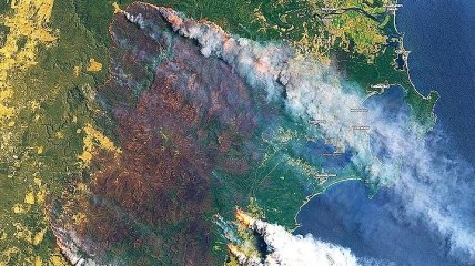 Австралия в огне: дым уже достиг Южной Америки