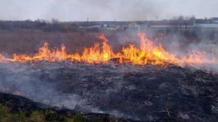 На Житомирщине за сутки ликвидировано 6 пожаров 