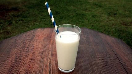 Растительное молоко: диетолог рассказал, какие есть разновидности напитка и кому его можно пить