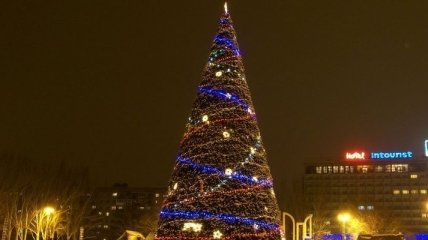 В Запорожье установлена новогодняя елка