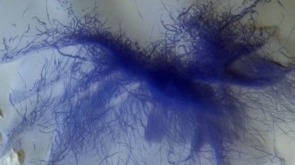 Спутник снял "синюю" структуру пыльных вихрей на Марсе