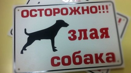 В Харьковской области собака загрызла 4-летнего мальчика