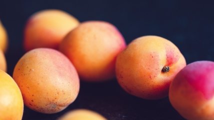 Чтобы абрикосы не уродили мелкие, обязательно вовремя удобряйте их
