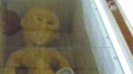 Житель Китая нашел ''инопланетянина'' и разместил его фото в Сети