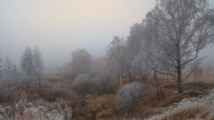 Мороз до -12: синоптики дали холодный прогноз на выходные 