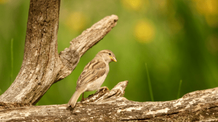 Какой церковный праздник 25 августа 2025 года — День памяти апостола Вартоломея