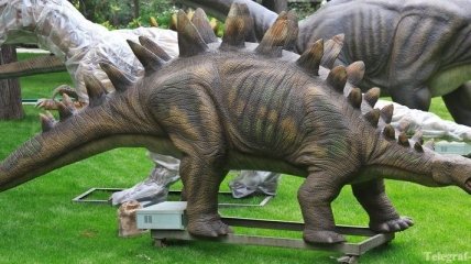 Палеонтологи открыли новый вид динозавра, жившего 75 млн лет назад
