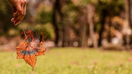 Екологи: Викиди від спаленого листя набагато гірші за сигарети