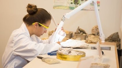 Самое старое из найденных: ученые обнаружили древнейшую окаменелость слизи