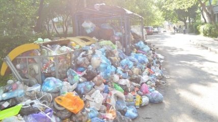Во Львове все мусорные площадки очистили от отходов