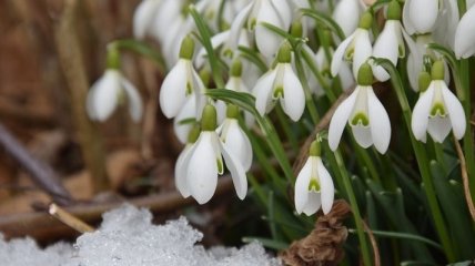 Зима не отступает: синоптик дал прогноз погоды на март