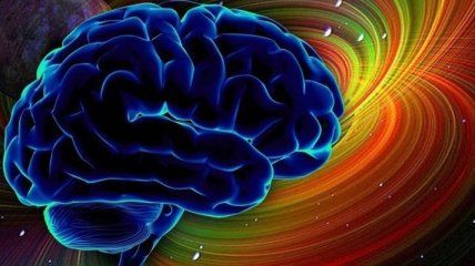 Ученые сделали уникальное открытие о мозге
