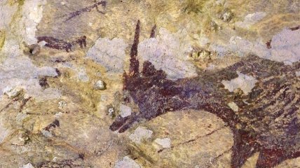 В индонезийской пещере нашли древнейшую картину охоты (Фото)