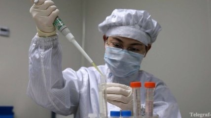 Китайцы скрестили вирусы свиного и птичьего гриппа