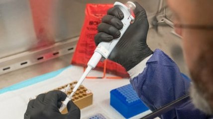 В Польше подтвердился первый случай заболевания на коронавирус