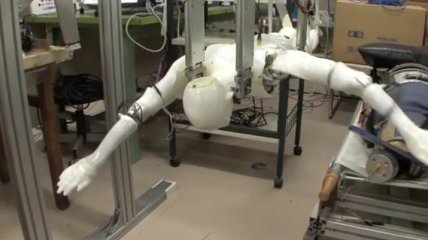 Японские ученые создали робота-пловца (Видео)