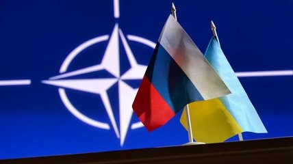 Украина и страны НАТО неуклонно сближаются, что не может не бесить Кремль