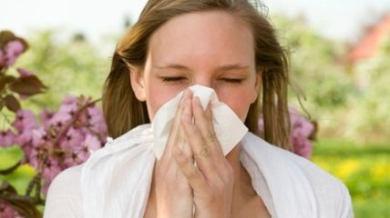 Источники аллергии, на которые обычно не обращают внимание