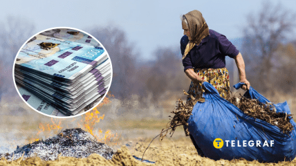 Деньги и бабушка с листьями