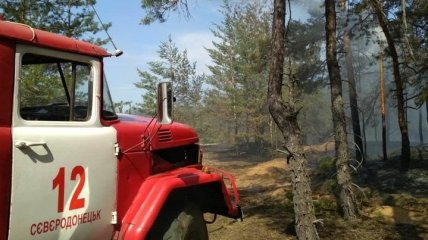 На Луганщине снова произошел лесной пожар
