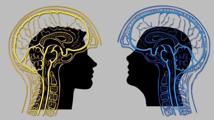 Система вознаграждения мозга: почему происходит выработка дофамина при употреблении пищи