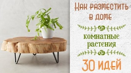 30 идей как интересно и практично разместить комнатные цветы в квартире