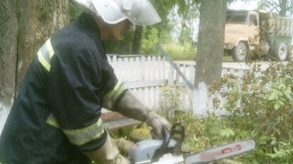 В Житомирской области на магазин упало горящее дерево