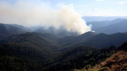 В Канаде из-за лесных пожаров эвакуируют 5 тысяч человек