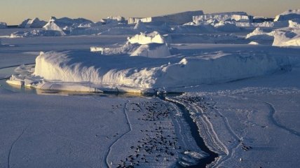 Ученые определили общий обьем антарктического льда