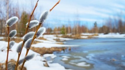 Довольно теплая погода продлится в Украине до конца февраля