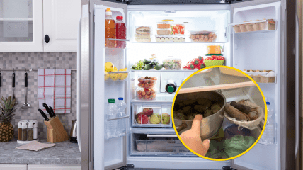 Холодильник украинки шокировал сеть