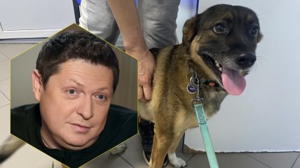 Борис Шефір та постраждалий собака