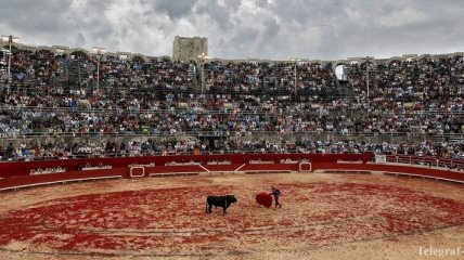 В Испании впервые за последние 35 лет не состоялась коррида